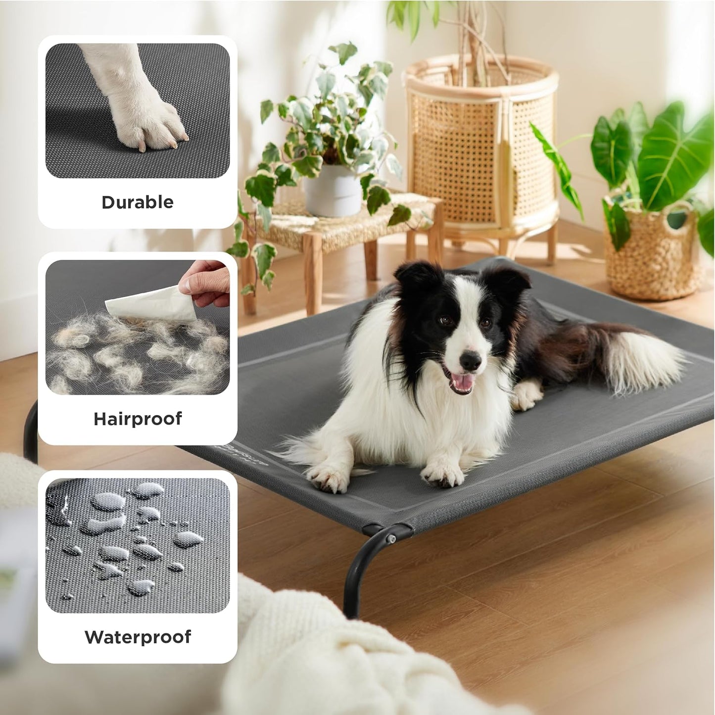 Elevate Your Pup's Comfort with the Stylish and Versatile Raised Dog Bed! Perfect for Outdoor Adventures and Cozy Naps! 🌈🐕