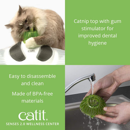 Transform Your Cat's Playtime with the  Senses Wellness Centre in Green! 🐾💚