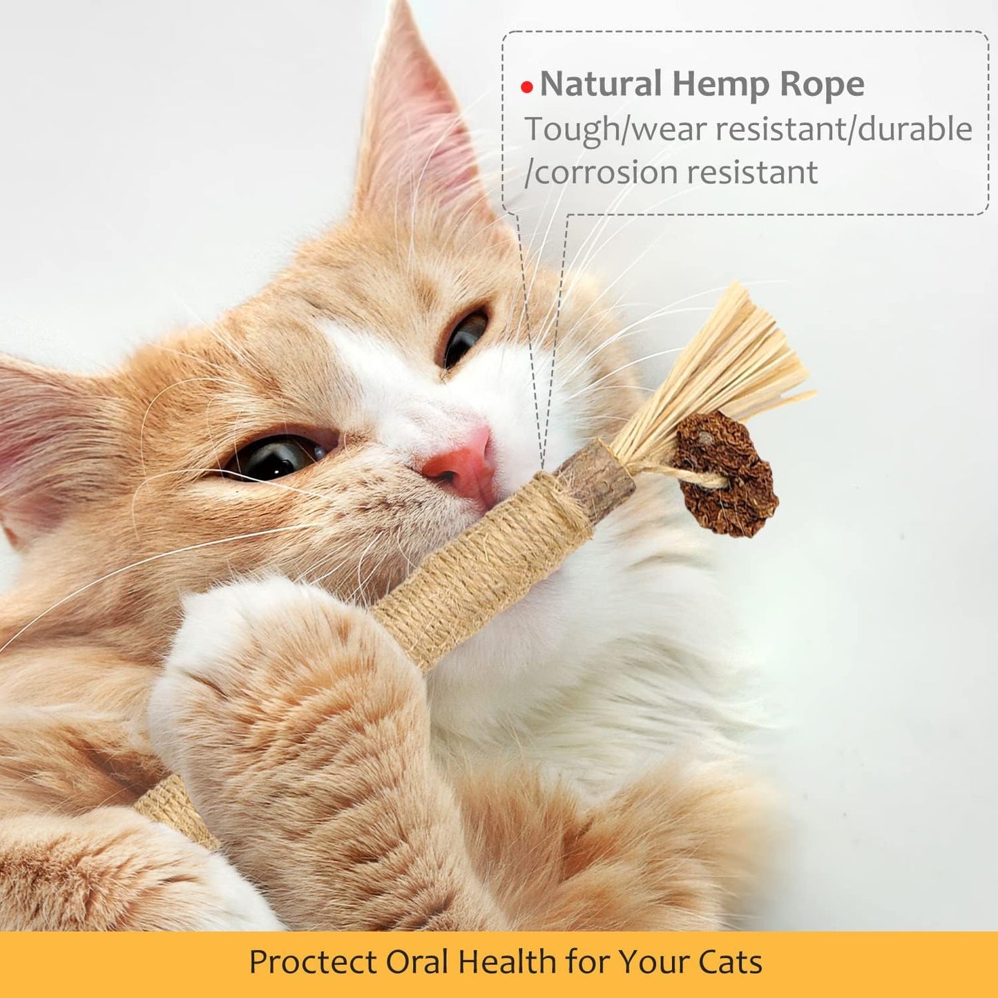 Get 6 Packs of  Natural Matatabi Silvervine Chew Sticks! Perfect for indoor kittens to ease teething and stress while keeping their teeth clean! 🐾💖 #CatToys #KittenCare #HappyKitties