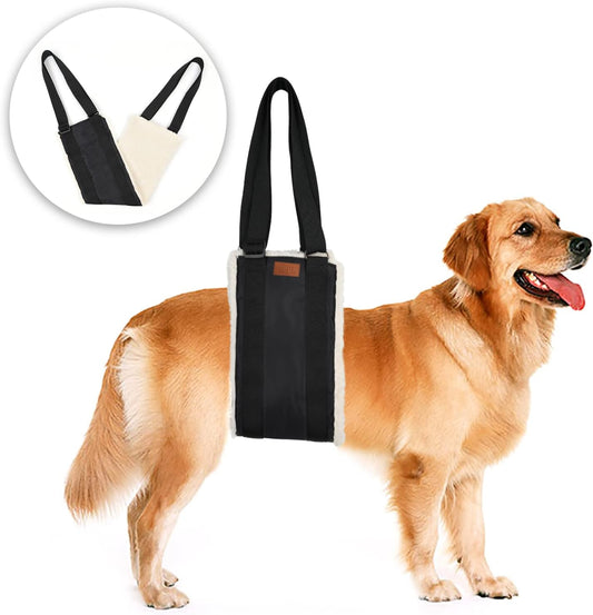 Empower Your Senior Dog: Adjustable Support Harness for Easy Mobility & Recovery 🐾❤️