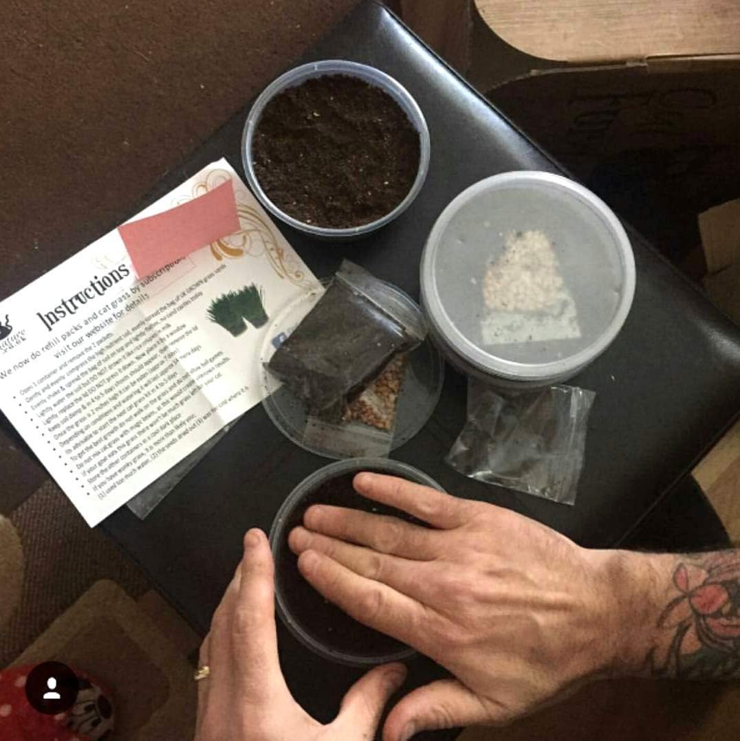 Grow & Enjoy: The Ultimate 4 Pack Cat Grass Kit for Happy, Healthy Cats! 🐾🌱