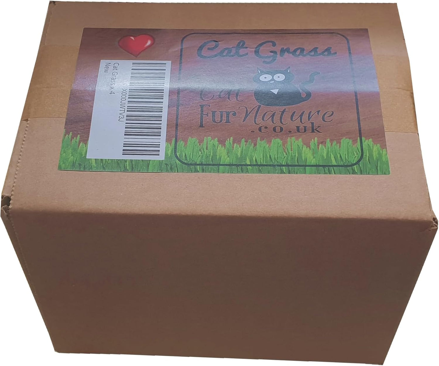 Grow & Enjoy: The Ultimate 4 Pack Cat Grass Kit for Happy, Healthy Cats! 🐾🌱