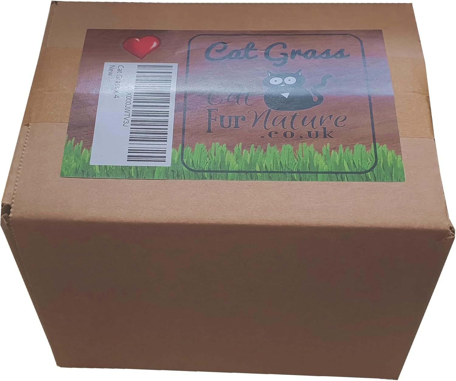 Grow & Enjoy: The Ultimate 4 Pack Cat Grass Kit for Happy, Healthy Cats! 🐾🌱