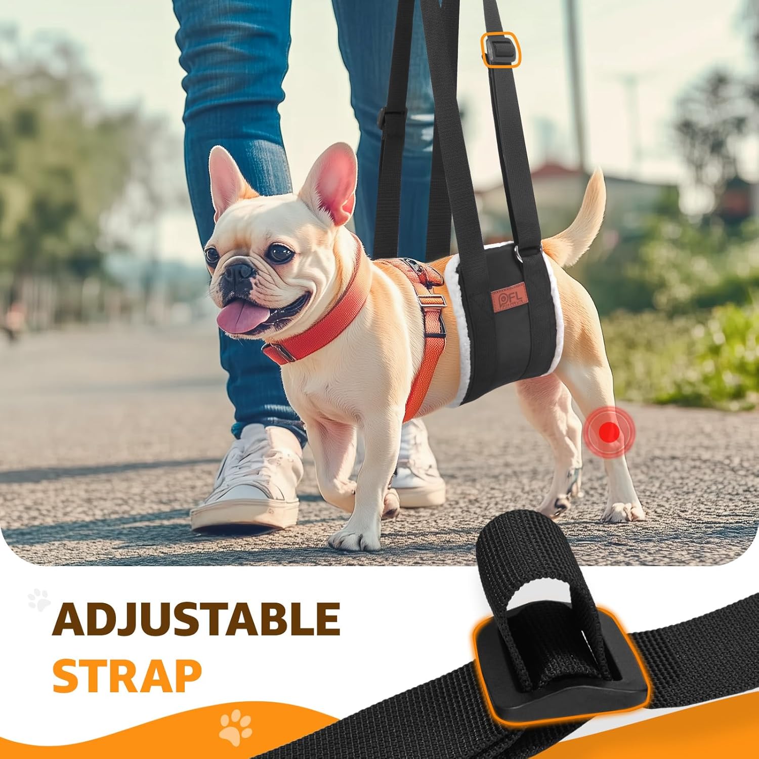 Empower Your Senior Dog: Adjustable Support Harness for Easy Mobility & Recovery 🐾❤️