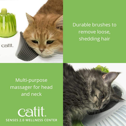 Transform Your Cat's Playtime with the  Senses Wellness Centre in Green! 🐾💚