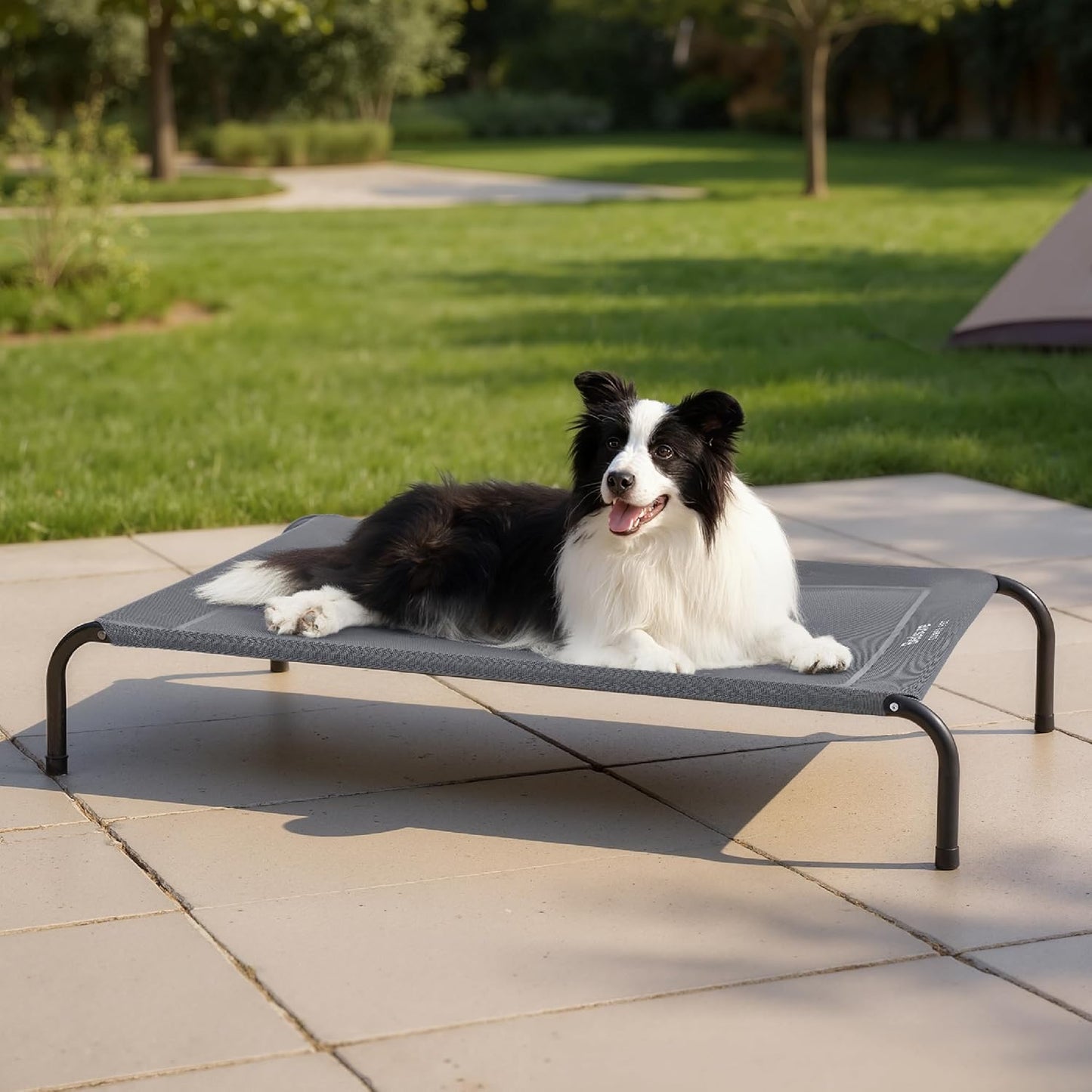 Elevate Your Pup's Comfort with the Stylish and Versatile Raised Dog Bed! Perfect for Outdoor Adventures and Cozy Naps! 🌈🐕