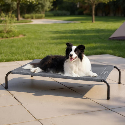 Elevate Your Pup's Comfort with the Stylish and Versatile Raised Dog Bed! Perfect for Outdoor Adventures and Cozy Naps! 🌈🐕