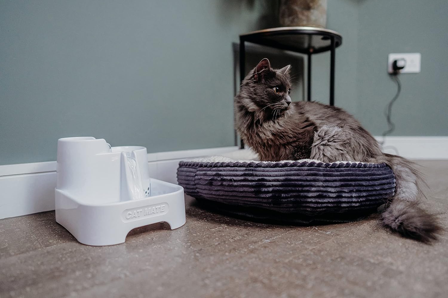 Quench Your Pet's Thirst with Our Amazing Multi-Level Water Fountain! 🌊🐾 Ideal for Cats & Small Dogs – 2 Litres of Freshness Awaits! 💧🐱🐶