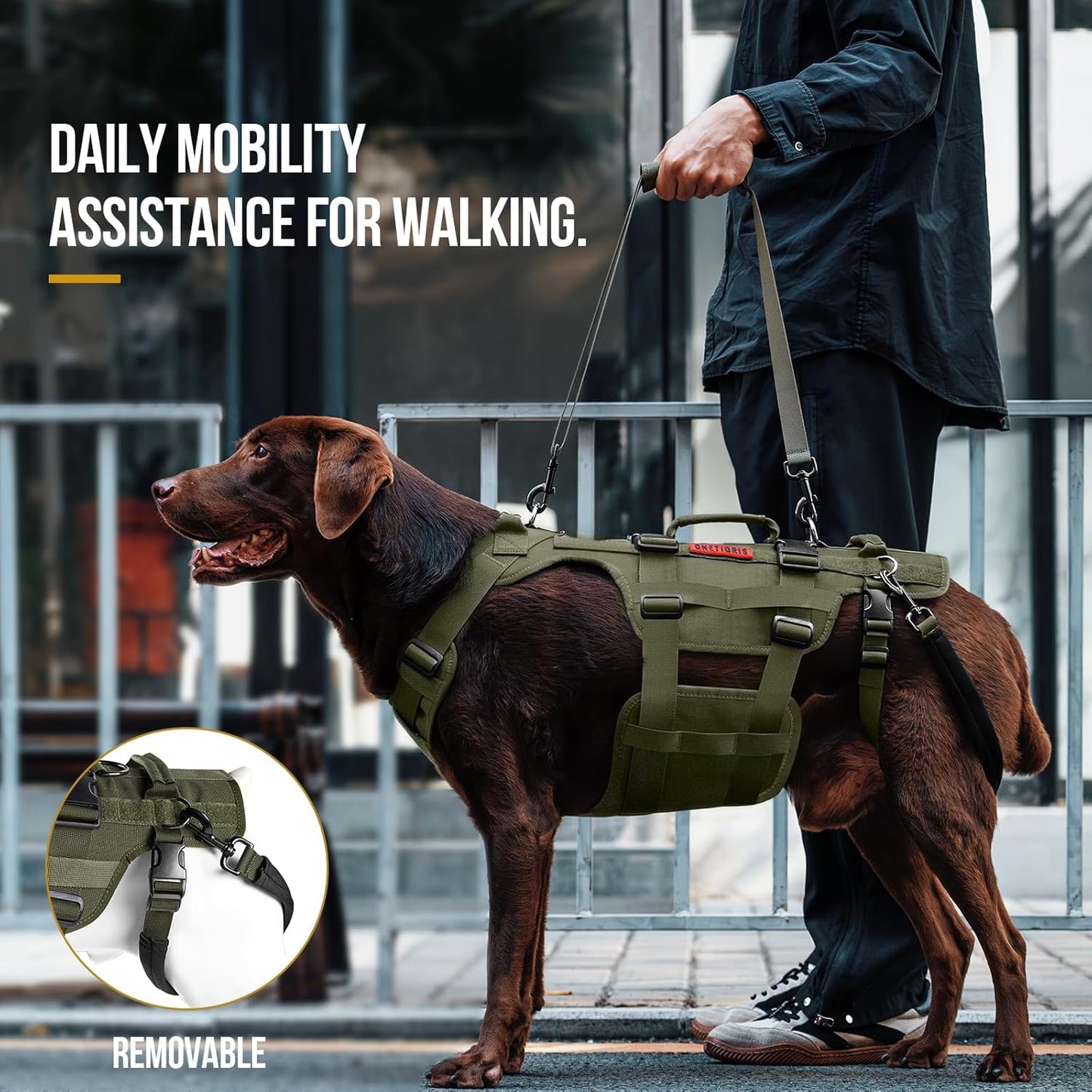 Boost Your Dog's Mobility with the Ultimate Lift Harness! Support for Large Dogs in Olive (XL) 🐾💚