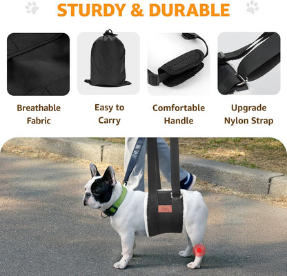 Empower Your Senior Dog: Adjustable Support Harness for Easy Mobility & Recovery 🐾❤️