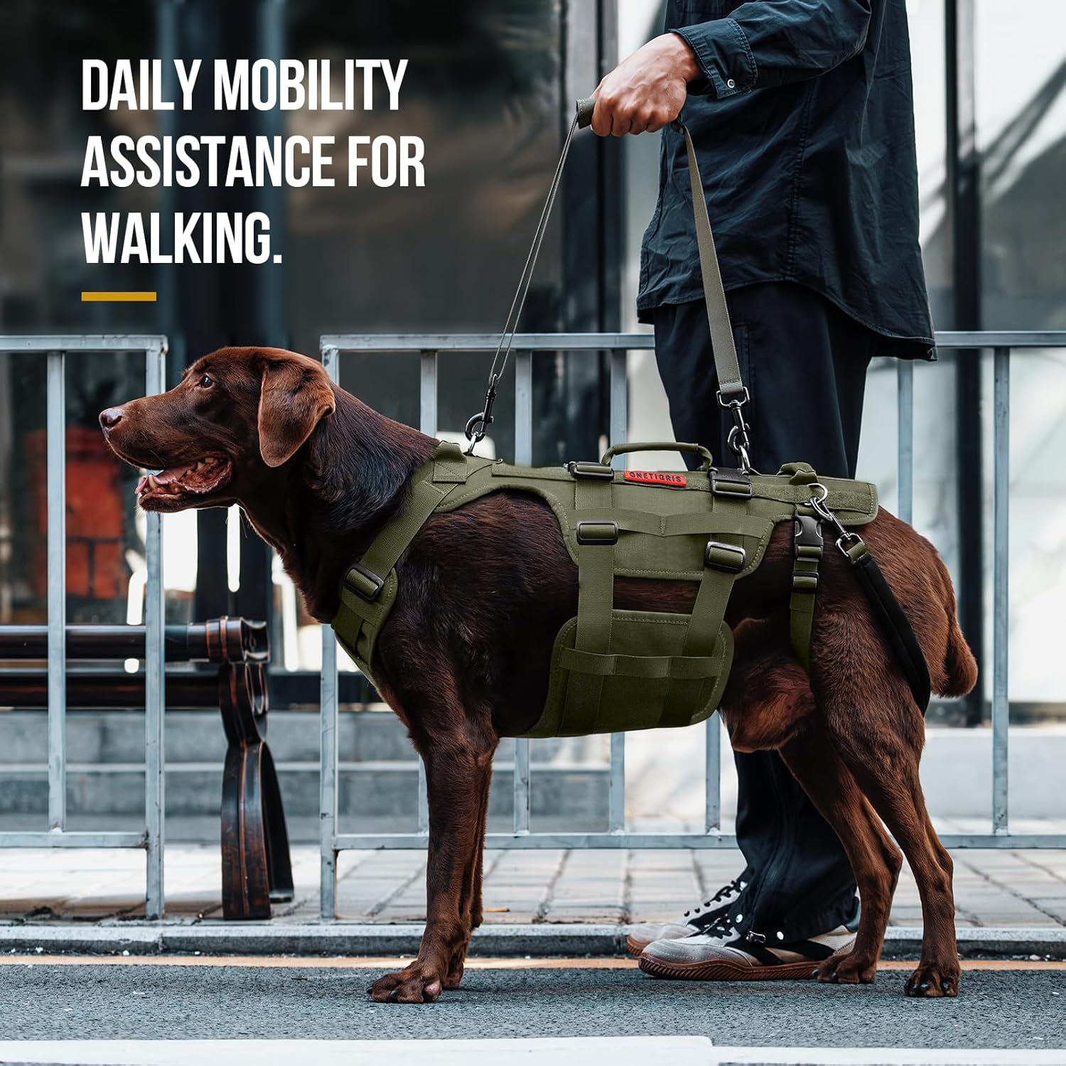 Boost Your Dog's Mobility with the Ultimate Lift Harness! Support for Large Dogs in Olive (XL) 🐾💚