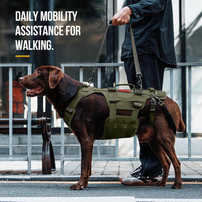 Boost Your Dog's Mobility with the Ultimate Lift Harness! Support for Large Dogs in Olive (XL) 🐾💚