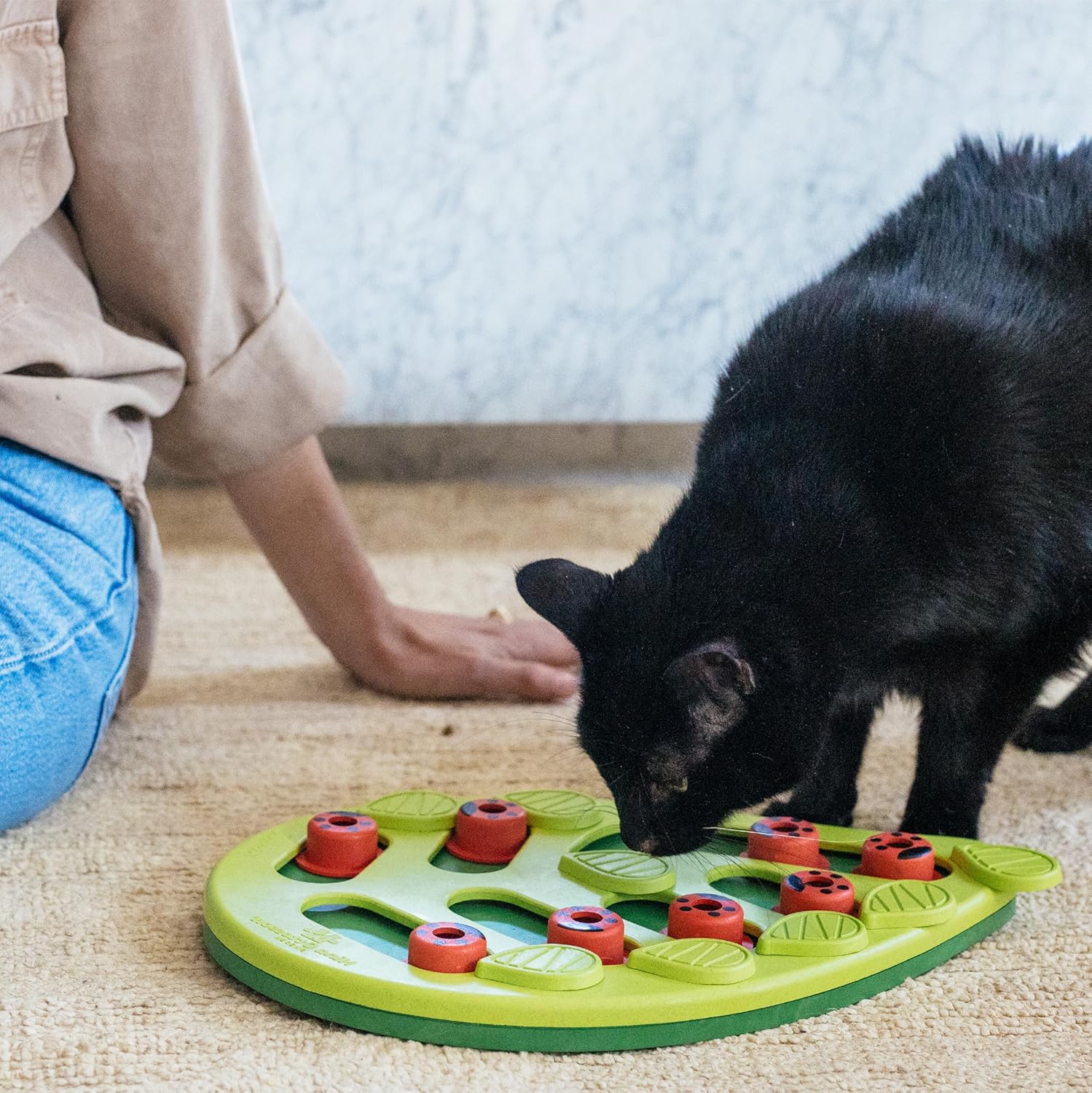 Transform Your Cat's Playtime with the Nina Ottosson Buggin' Out Interactive Treat Puzzle Toy!