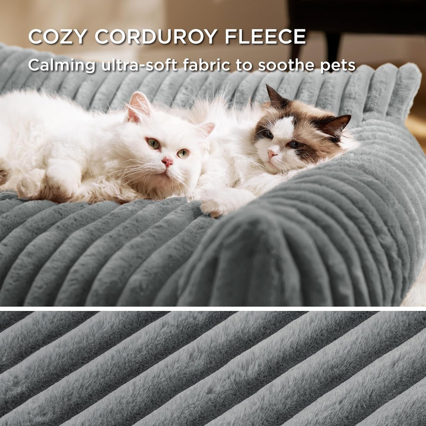 Cozy Up: The Ultimate Washable Cat Sofa Bed for Stylish Snuggles and Naps! 🐾🛋️ #PetComfort #CouchForPets