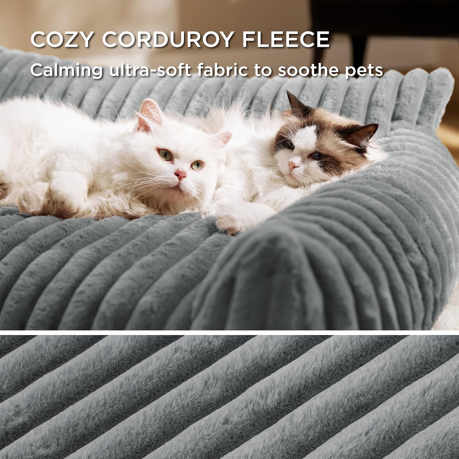 Cozy Up: The Ultimate Washable Cat Sofa Bed for Stylish Snuggles and Naps! 🐾🛋️ #PetComfort #CouchForPets