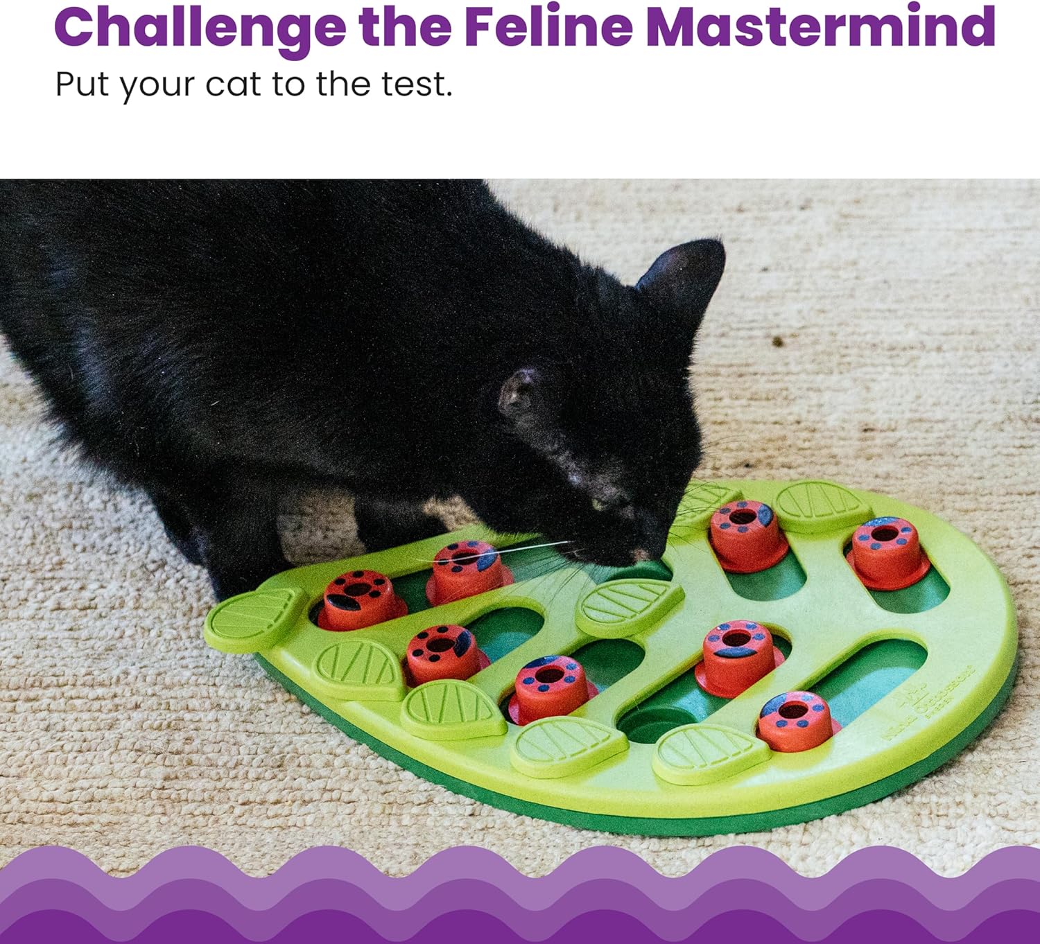 Transform Your Cat's Playtime with the Nina Ottosson Buggin' Out Interactive Treat Puzzle Toy!