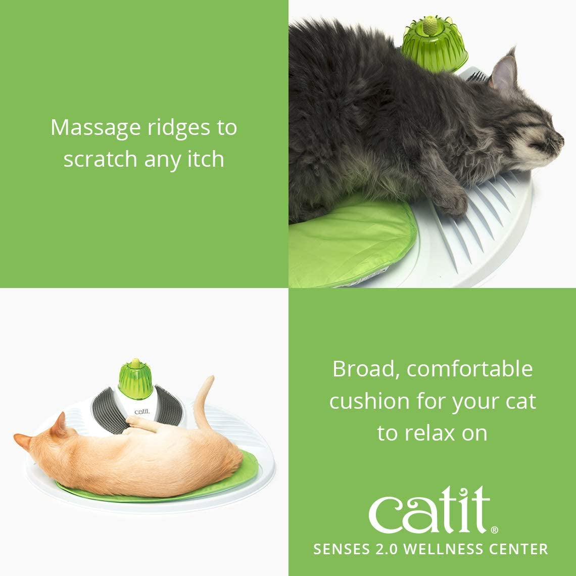 Transform Your Cat's Playtime with the  Senses Wellness Centre in Green! 🐾💚