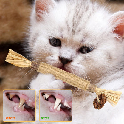 Get 6 Packs of  Natural Matatabi Silvervine Chew Sticks! Perfect for indoor kittens to ease teething and stress while keeping their teeth clean! 🐾💖 #CatToys #KittenCare #HappyKitties