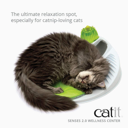 Transform Your Cat's Playtime with the  Senses Wellness Centre in Green! 🐾💚