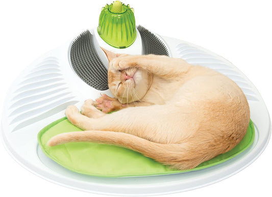 Transform Your Cat's Playtime with the  Senses Wellness Centre in Green! 🐾💚
