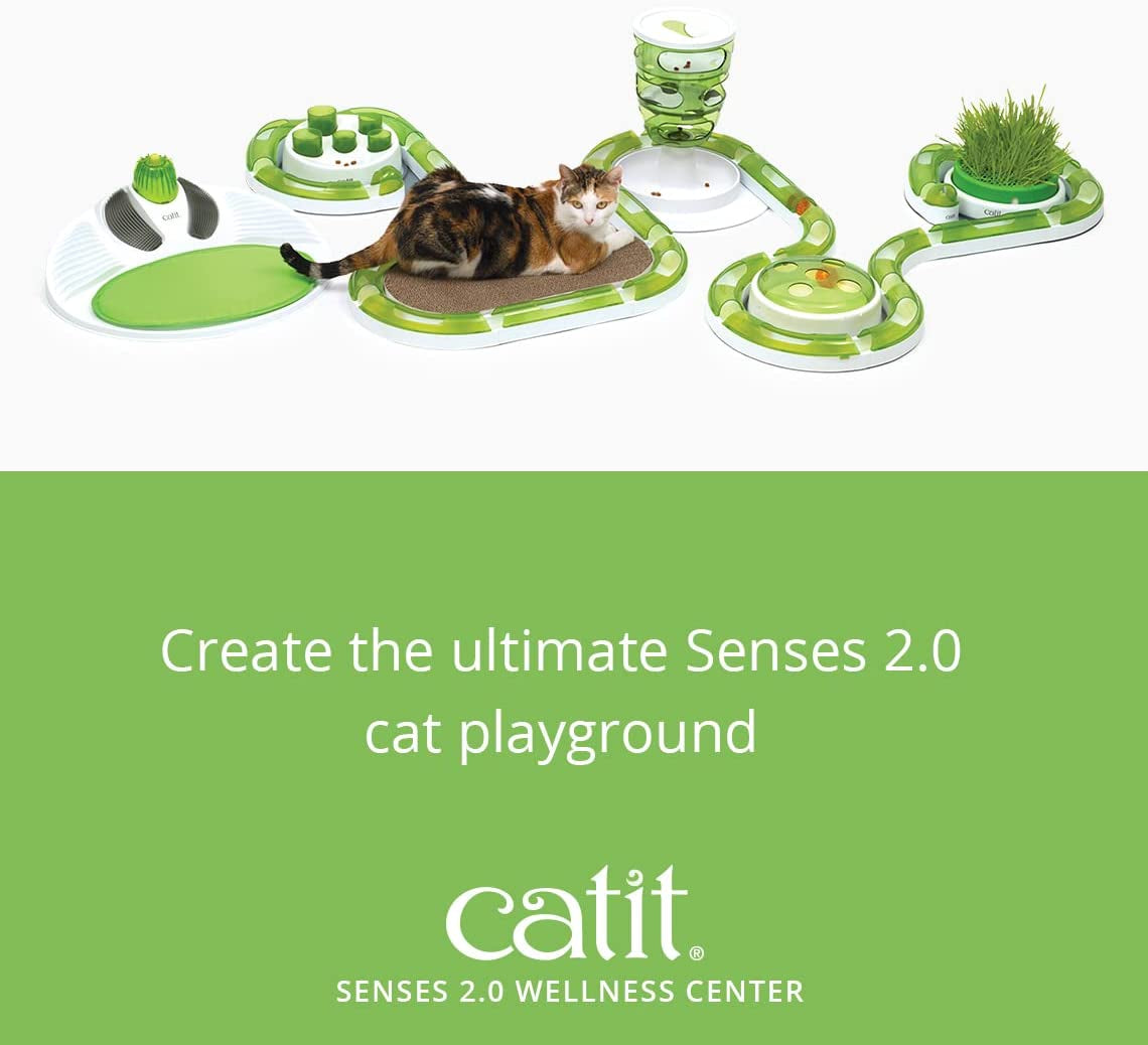 Transform Your Cat's Playtime with the  Senses Wellness Centre in Green! 🐾💚
