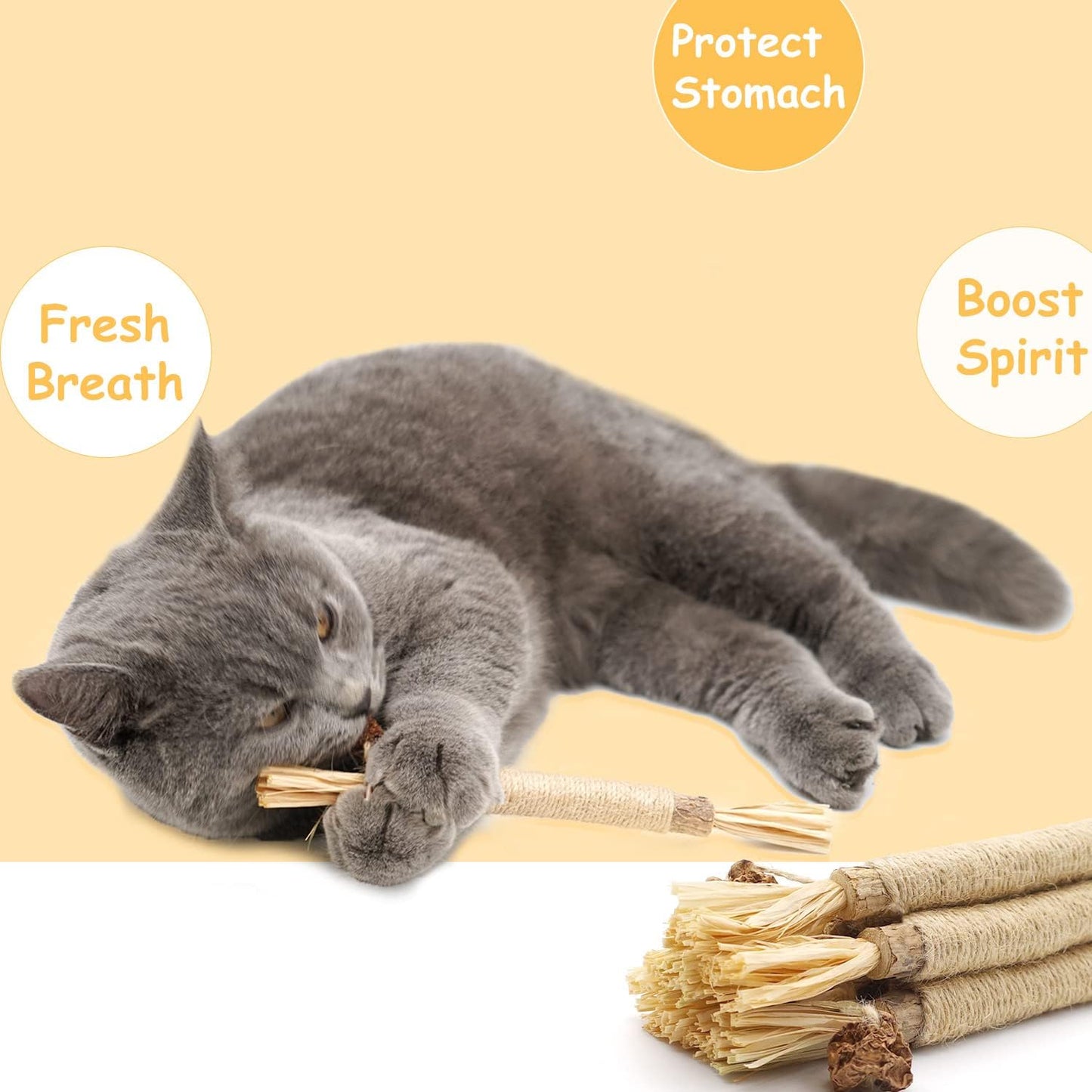 Get 6 Packs of  Natural Matatabi Silvervine Chew Sticks! Perfect for indoor kittens to ease teething and stress while keeping their teeth clean! 🐾💖 #CatToys #KittenCare #HappyKitties