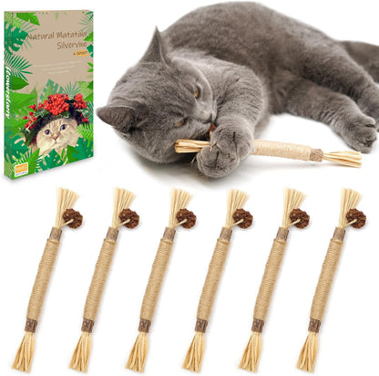 Get 6 Packs of  Natural Matatabi Silvervine Chew Sticks! Perfect for indoor kittens to ease teething and stress while keeping their teeth clean! 🐾💖 #CatToys #KittenCare #HappyKitties