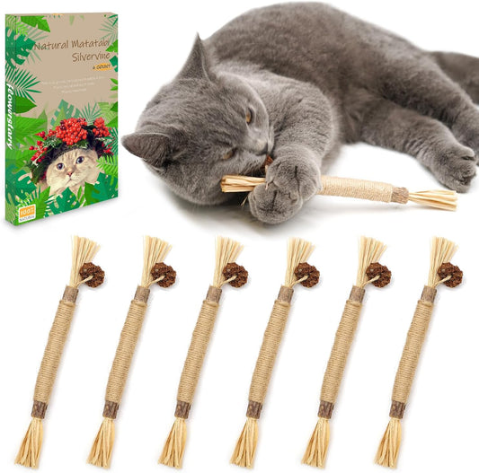 Get 6 Packs of  Natural Matatabi Silvervine Chew Sticks! Perfect for indoor kittens to ease teething and stress while keeping their teeth clean! 🐾💖 #CatToys #KittenCare #HappyKitties