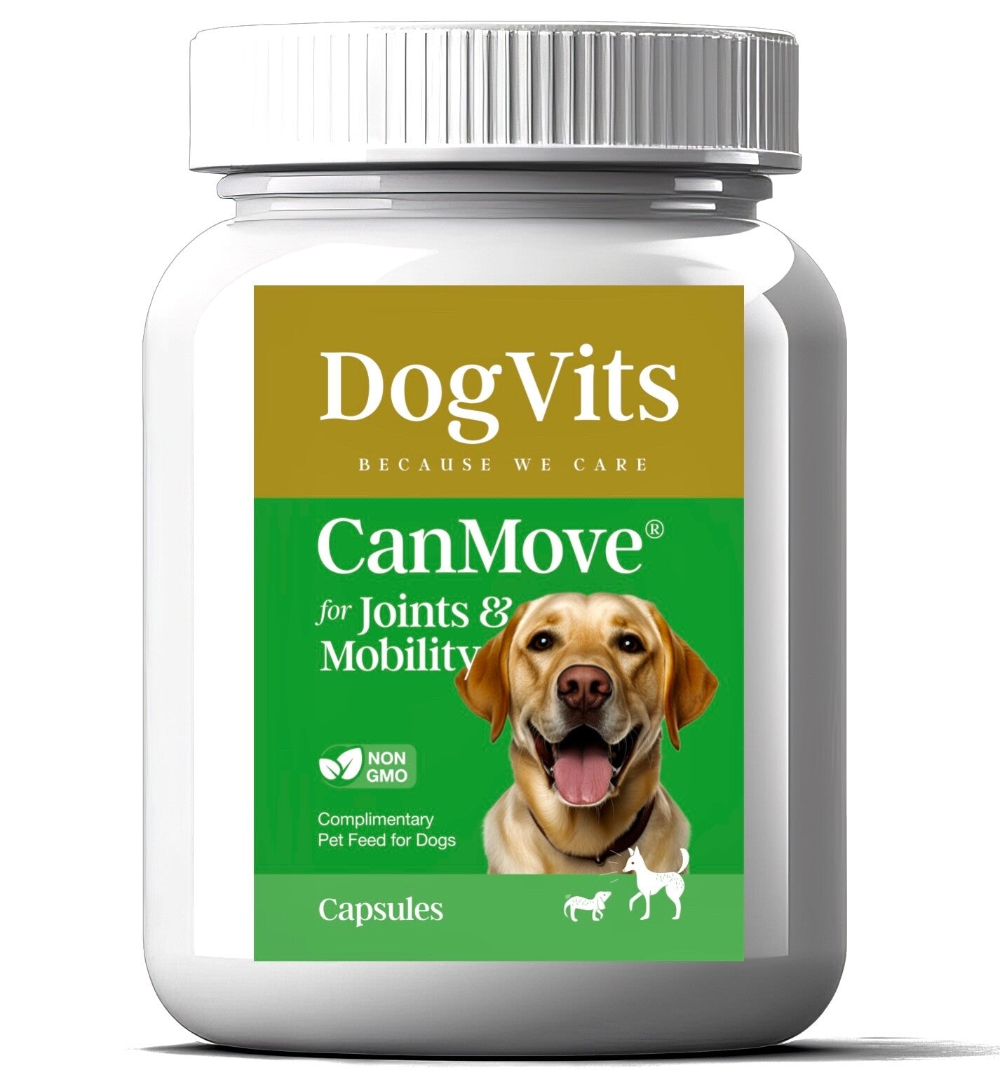 Premium Dog Joint Hip Care Supplement for Enhanced Mobility in Senior Dogs - Canine Mobility Support by DogVits