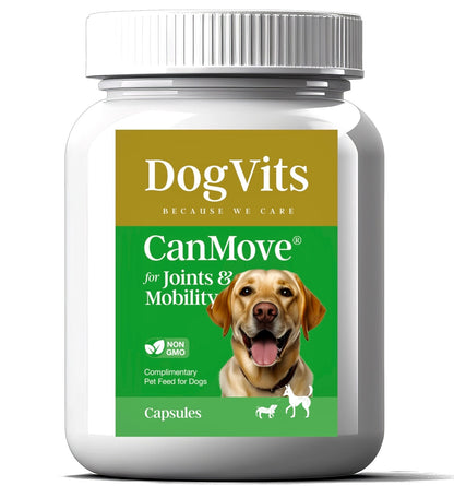 Premium Dog Joint Hip Care Supplement for Enhanced Mobility in Senior Dogs - Canine Mobility Support by DogVits