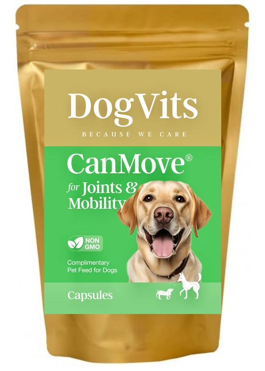 Premium Dog Joint Hip Care Supplement for Enhanced Mobility in Senior Dogs - Canine Mobility Support by DogVits